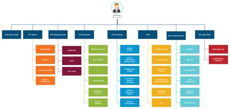 ORGANIZATIONAL CHART .